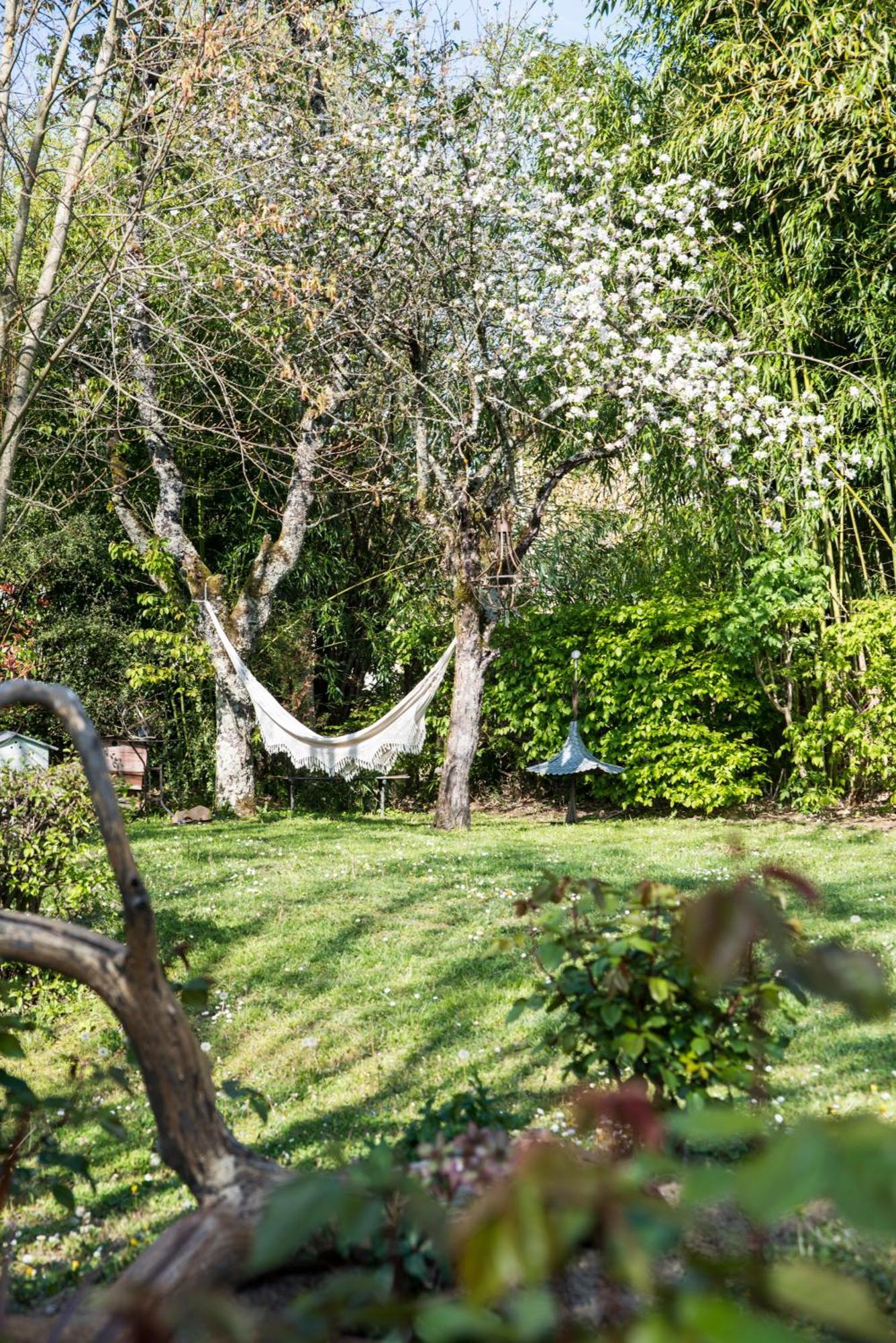 Chambre Avec Vue Domessin Exteriér fotografie
